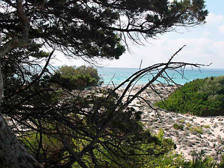 Bildheizung-Motiv Strand Mallorca für Standard Infrarotheizung
