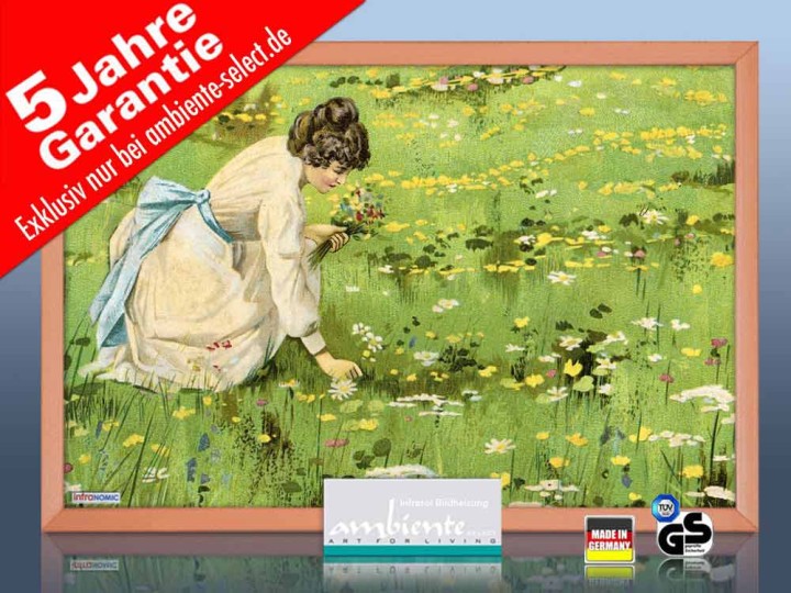 infrarot Bildheizung 500 Watt 90x60 HB30 Blumenpflückerin