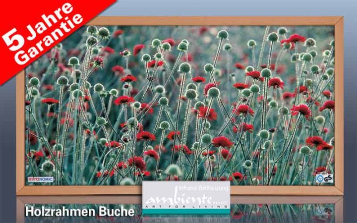 Bildheizung-Motiv Blumenwiese für Standard Infrarotheizungen