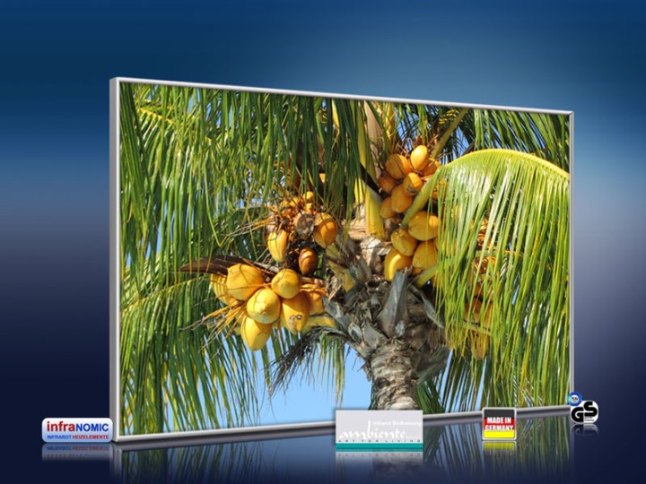 infrarot Bildheizung 500 Watt 90x60 M10-SL Palmenfrüchte